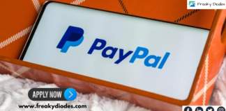 PayPal Off Campus Drive 2024 | Opportunity as a Software Engineer